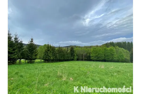 kłodzki, Stronie Śląskie, SPRZEDANE