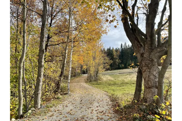kłodzki, Bystrzyca Kłodzka, Paszków, Działki pod Polanicą