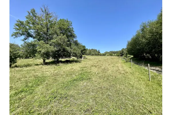 kłodzki, Bystrzyca Kłodzka, Nowy Waliszów, Działka Budowlana Nowy Waliszów