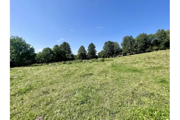 kłodzki, Bystrzyca Kłodzka, Nowy Waliszów, Działka Budowlana Nowy Waliszów