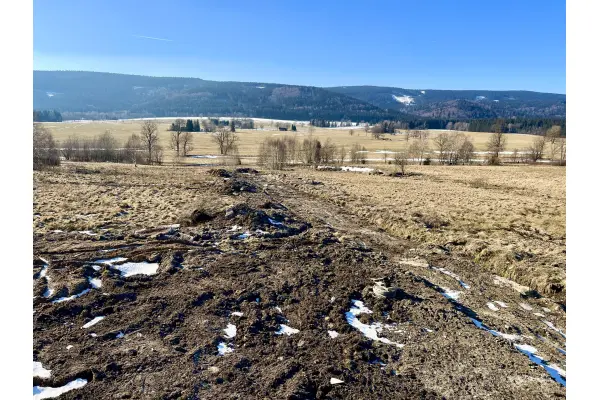 kłodzki, Bystrzyca Kłodzka, Lasówka, Zieleniec, Lasówka 5 km od Zieleńca
