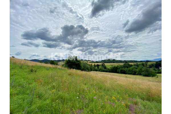 kłodzki, Kłodzko, Działka w Wojciechowicach