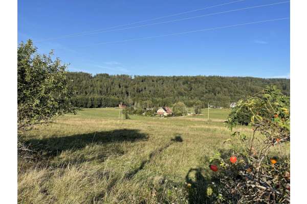 kłodzki, Bystrzyca Kłodzka, Pławnica, Działki w zaciszu lasu i gór.