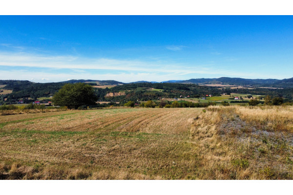 kłodzki, Kłodzko, Ławica, Widokowa działka w Ławicy.