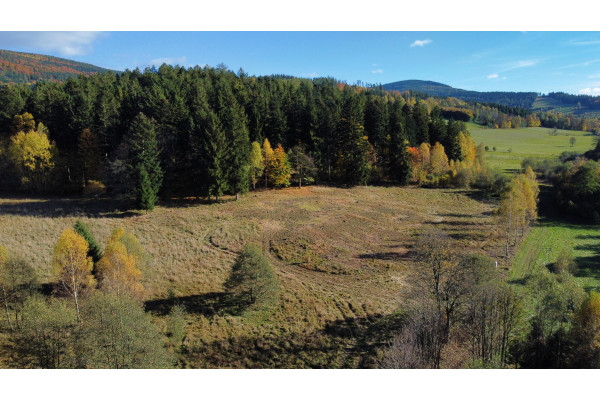 kłodzki, Stronie Śląskie, Goszów, Działka z pozwoleniem na budowę.