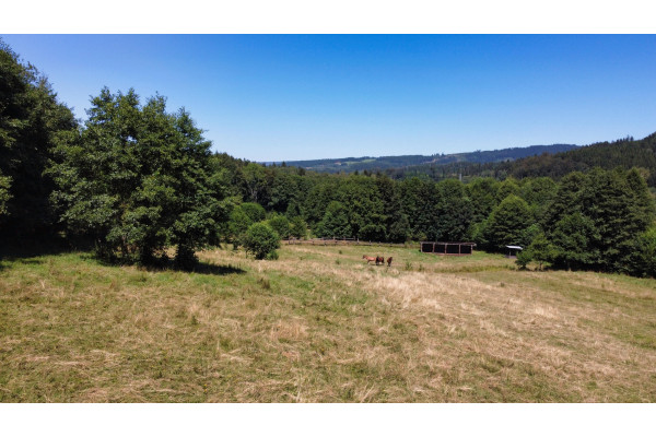 kłodzki, Lewin Kłodzki, Kocioł, Wyjątkowe miejsce na Twój drugi dom.