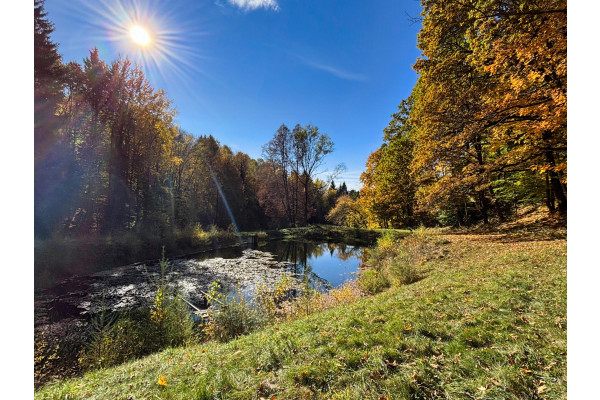 kłodzki, Lądek-Zdrój, Orłowiec, Wyjątkowa posiadłość w Orłowcu koło Lądka-Zdroju.
